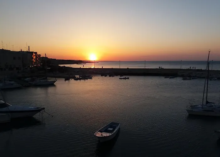Il Da Vinci Giovinazzo